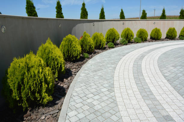 Best Decorative Driveway Pavers  in Graham, TX
